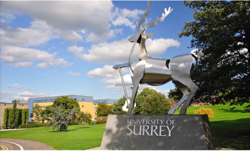 2sa_li_ukuni-studyuk-university-uk-500x303.png
